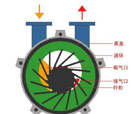 ��˹��ձ���ϴ��ˇ